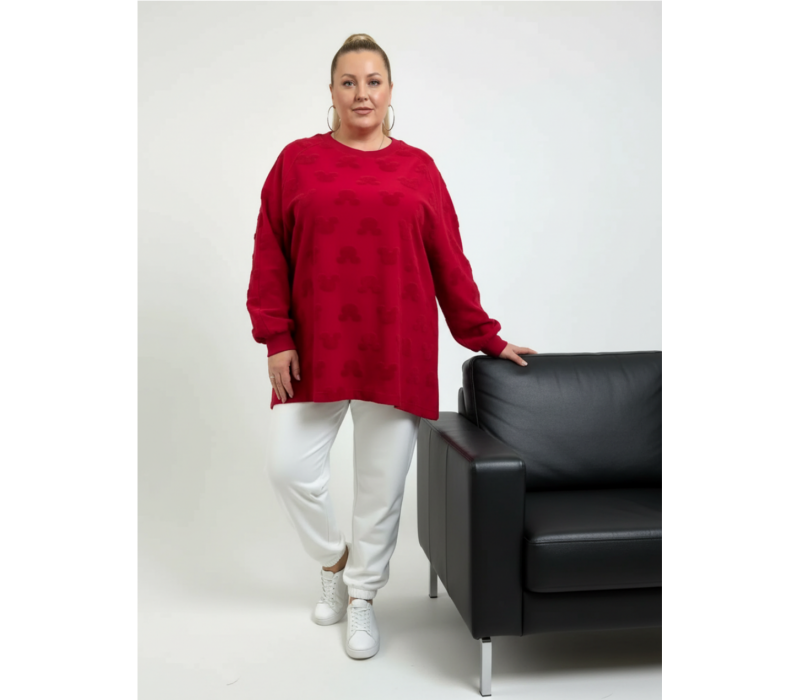 Ребека свитшот женский (махра Микки бордо)