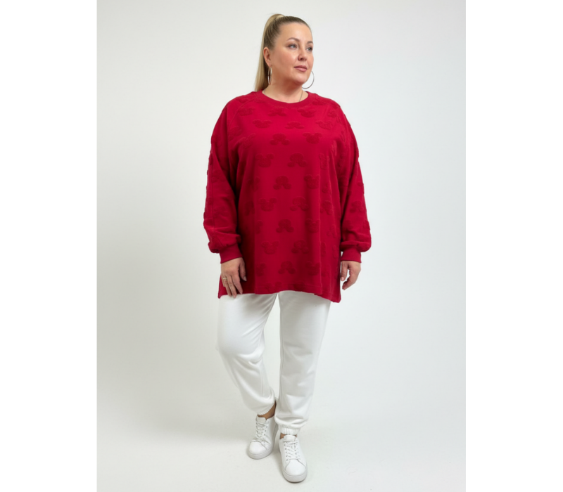 Ребека свитшот женский (махра Микки бордо)