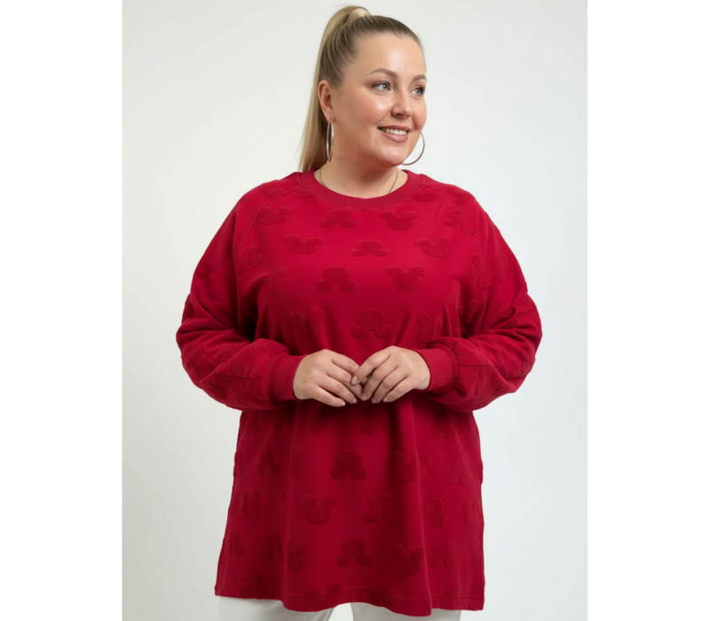 Ребека свитшот женский (махра Микки бордо)