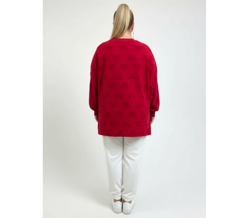 Ребека свитшот женский (махра Микки бордо)