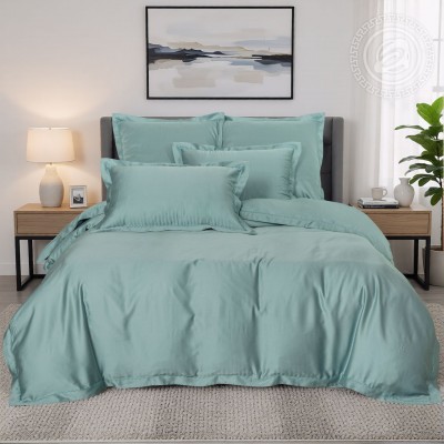 Постельное белье Ментоловый 875