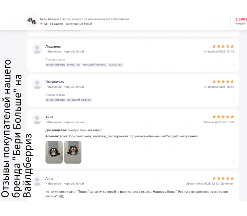 Гобеленовая подушка-игрушка двухсторонняя "Кот обнимашка" (27х27)